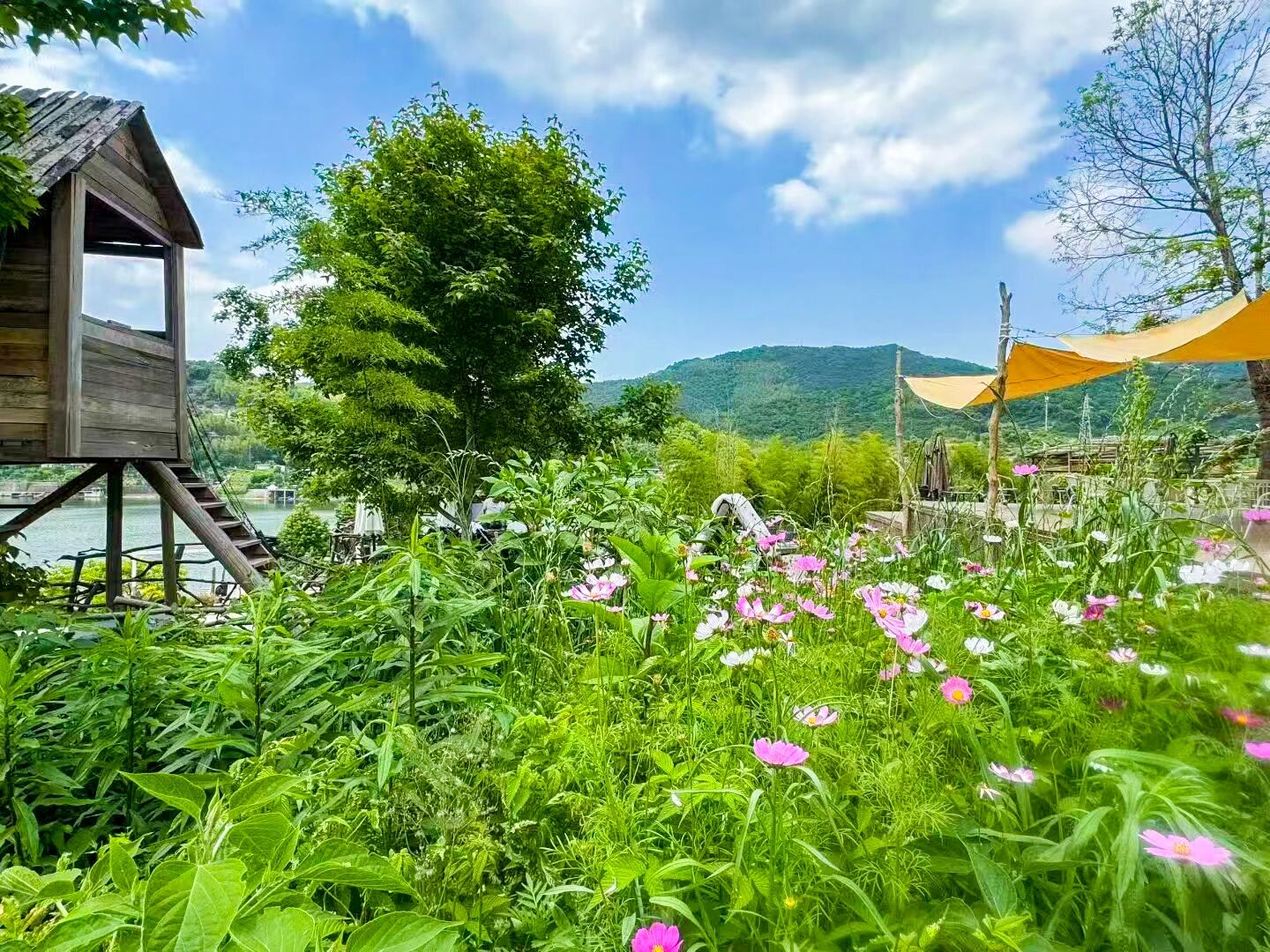 微信图片_2026-05-25_101043_143.jpg